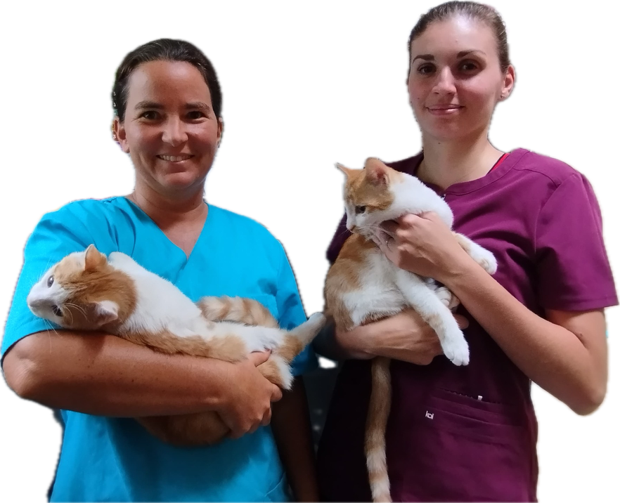 Cabinet vétérinaire